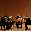 Miro Quartet