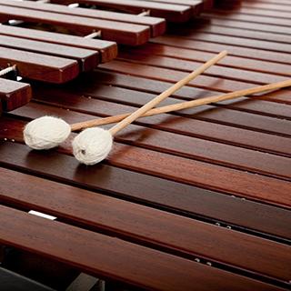 marimba-sfcv.jpg