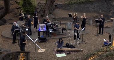 The bird ensemble performs outdoors under a tree.