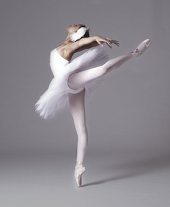 city ballet swan.png