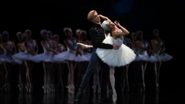 swanlake-header.jpg