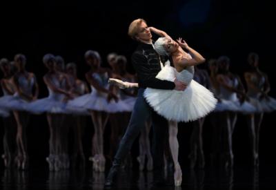 swanlake-header.jpg