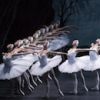 Swan Lake