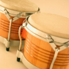 bongo-drums_sq.png